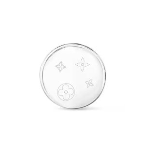 Louis Vuitton Silver Souvenirs Box