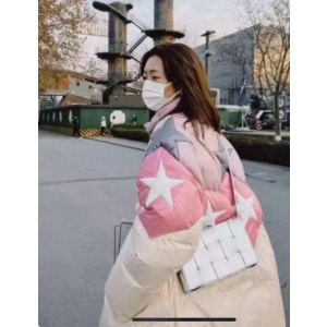 Bottega Veneta Off-White Large Padded Tech Cassette Bag