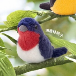 Birdling Swallow
