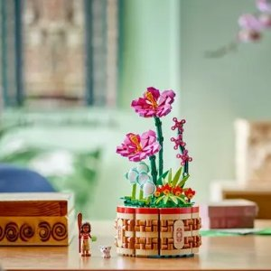 Lego Moana's Flowerpot 43252 | Disney