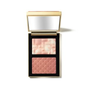 Bobbi Brown Blush & Highlight Duo