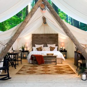 Pampered Wilderness - Olympia, WA