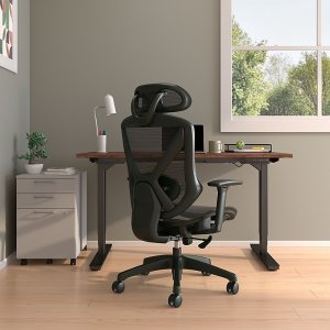 Union & Scale™ FlexFit™ Dexley Ergonomic Mesh Swivel Task Chair