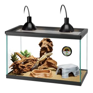 Zilla Premium Desert Starter Kit, 10 Gallon