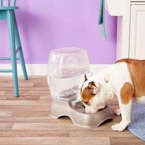 Petmate Pearl Pet Cafe Waterer