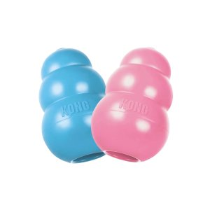 KONG KONG Puppy Assorted Toy, X-Small
