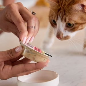 Tiny Tiger Lickables Soup Chicken & Shrimp Recipe in a Creamy Chicken Broth Cat Treat & Topper