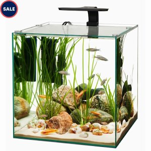 Aqueon Aqueon Frameless Cube Aquarium 14 Gallon