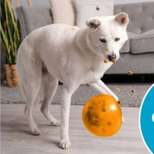 Outward Hound Orbee-Tuff Snoop Treat Dispensing Tough Dog Chew Toy