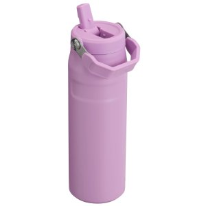 Stanley The IceFlow™ Bottle with Flip Straw Lid | 24 oz