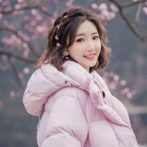 Canada Goose Junction 750 Fill Power Down Parka