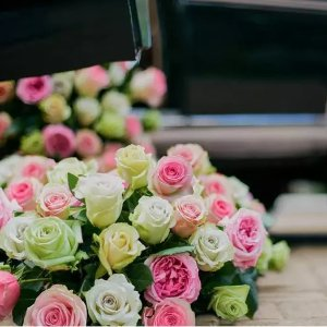 Rose Farmers