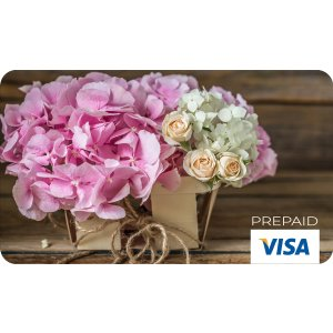 Quantum $25.00 Prepaid Visa Gift Card