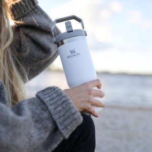 Stanley The IceFlow Flip Straw Tumbler | 30 OZ