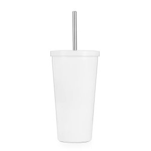 19oz. Stainless Steel Tumbler with Straw