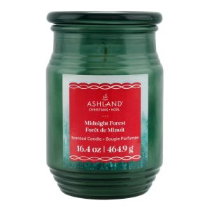 Midnight Forest Scented Jar Candle by Ashland