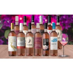 Splash Wines