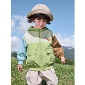 Balabala Balabala Young Boy Colorblock Dinosaur Patched Flap Pocket Hooded Coat Suitable For Spring And Autumn | SHEIN USA