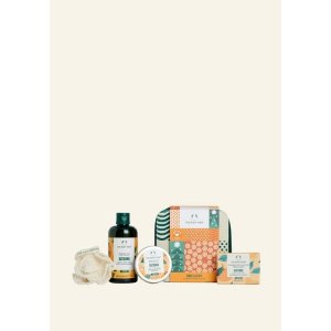 Zingy & Zesty Satsuma Essentials Gift