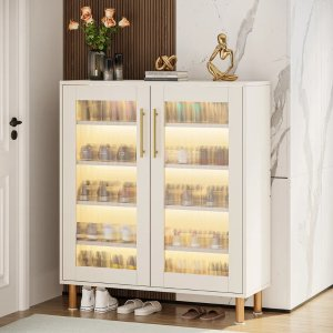 Ivy Bronx 22 Pair Shoe Storage Cabinet With Light