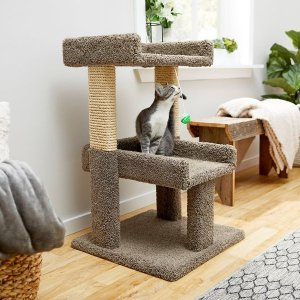 FRISCO Frisco 32-in Real Carpet Wooden Cat Tree with Toy
