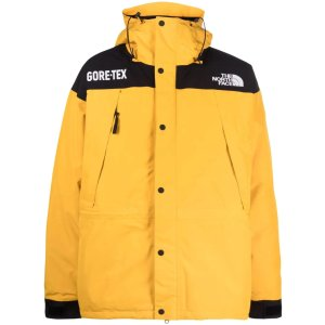 The North Face Gore-Tex Mountain Guide insulated jacket
