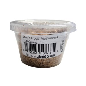 Mealworms - 100 Count