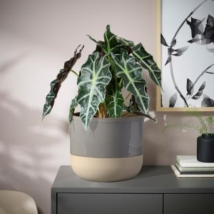 Ikea BOLLBUSKE Plant pot, light gray, 6 "