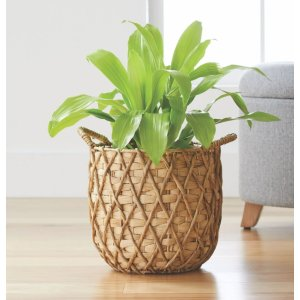 Better Homes & Gardens 11" Round Natural Water Hyacinth Basket Planter