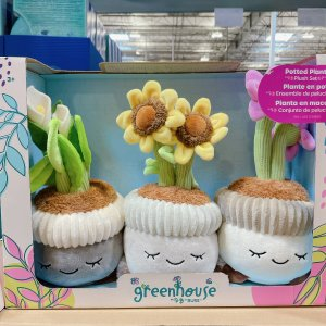Greenhouse By Russ 12in Potted Plush 3PK