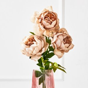 Z GALLERIE Dusty Blush Open Peony - Set of 3