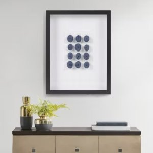 Indigo Shells Sea Urchin Shadow Box Framed Wall Art