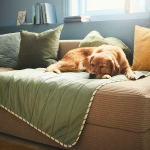 Ikea UTSADD Pet blanket, green, 39 ¼x59 "