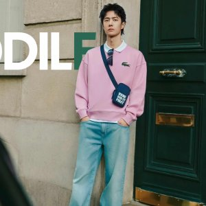 Lacoste Unisex Loose Fit Crocodile Badge Sweatshirt