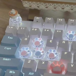 0.99US $ 91% OFF|Colorful Transparent Cat Claw Pad Resin Keycap Game Mechanical Keyboard Keycap Transparent Rgbesc Wasd Keycap - Mice & Keyboards Accessories - AliExpress