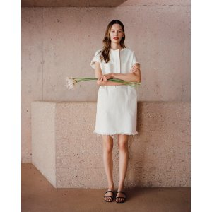 Everlane The Denim Workwear Shirtdress