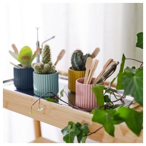 Ikea DAKSJUS Plant pot, mixed colors, 2 ¼ "