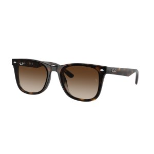 Ray-Ban RB4420