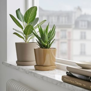 Ikea CITRUSFRUKT Plant pot with saucer, indoor/outdoor yellow-brown, 4 ¾ "