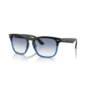 Ray-Ban STEVE