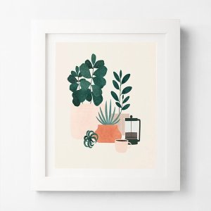 Z GALLERIE Coffee Plants
