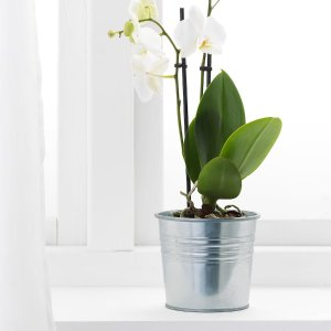 Ikea SOCKER Plant pot, indoor/outdoor/galvanized, 4 ¼ "