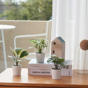 FEJKA Artifi potted plant w pot, set of 3, indoor/outdoor begonia, 2 ¼ "