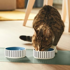 Ikea UTSADD Pet bowl, stripe pattern black-blue/gray-blue, 4 ½ "