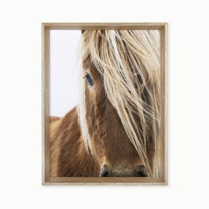 Z GALLERIE Blondie