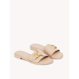 Marcie slide
