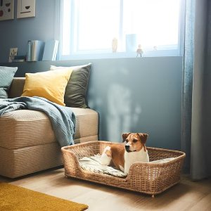 Ikea UTSADD Dog bed, rattan, 31 ½x19 ¾x7 ¾ "